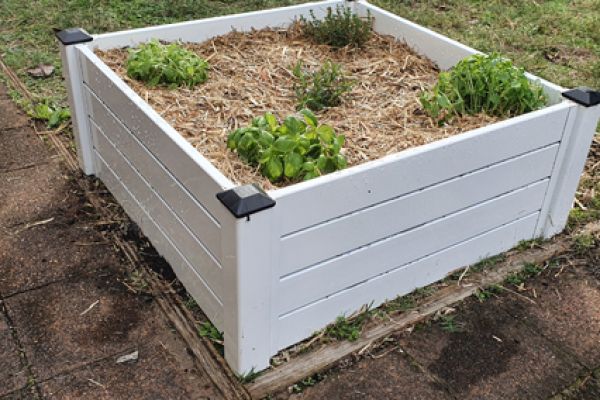 planter-box0A5B37D6-58EB-3CEA-BF1B-C72016693F8C.jpg